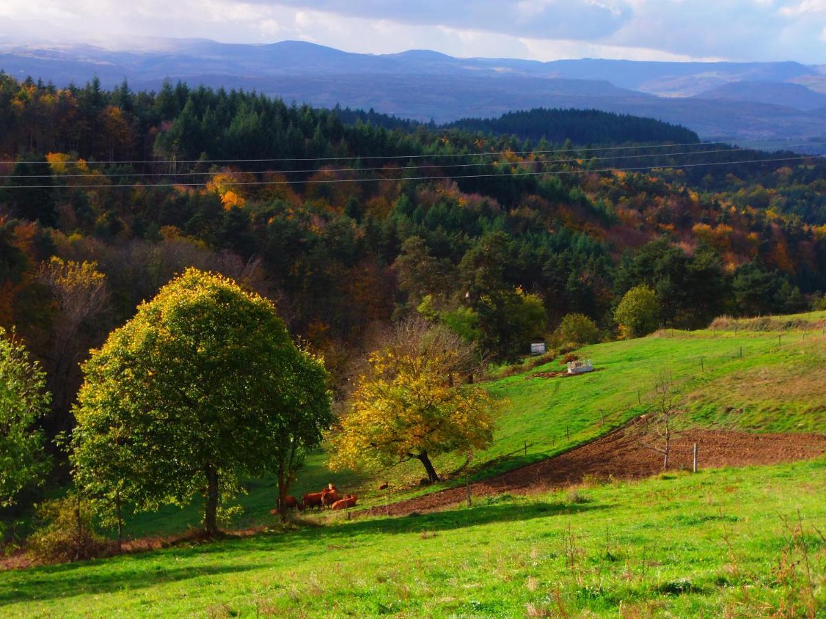 Le Vallon D'Armandine, Gite Ecologique Auvergne Saint-Hilaire  Экстерьер фото