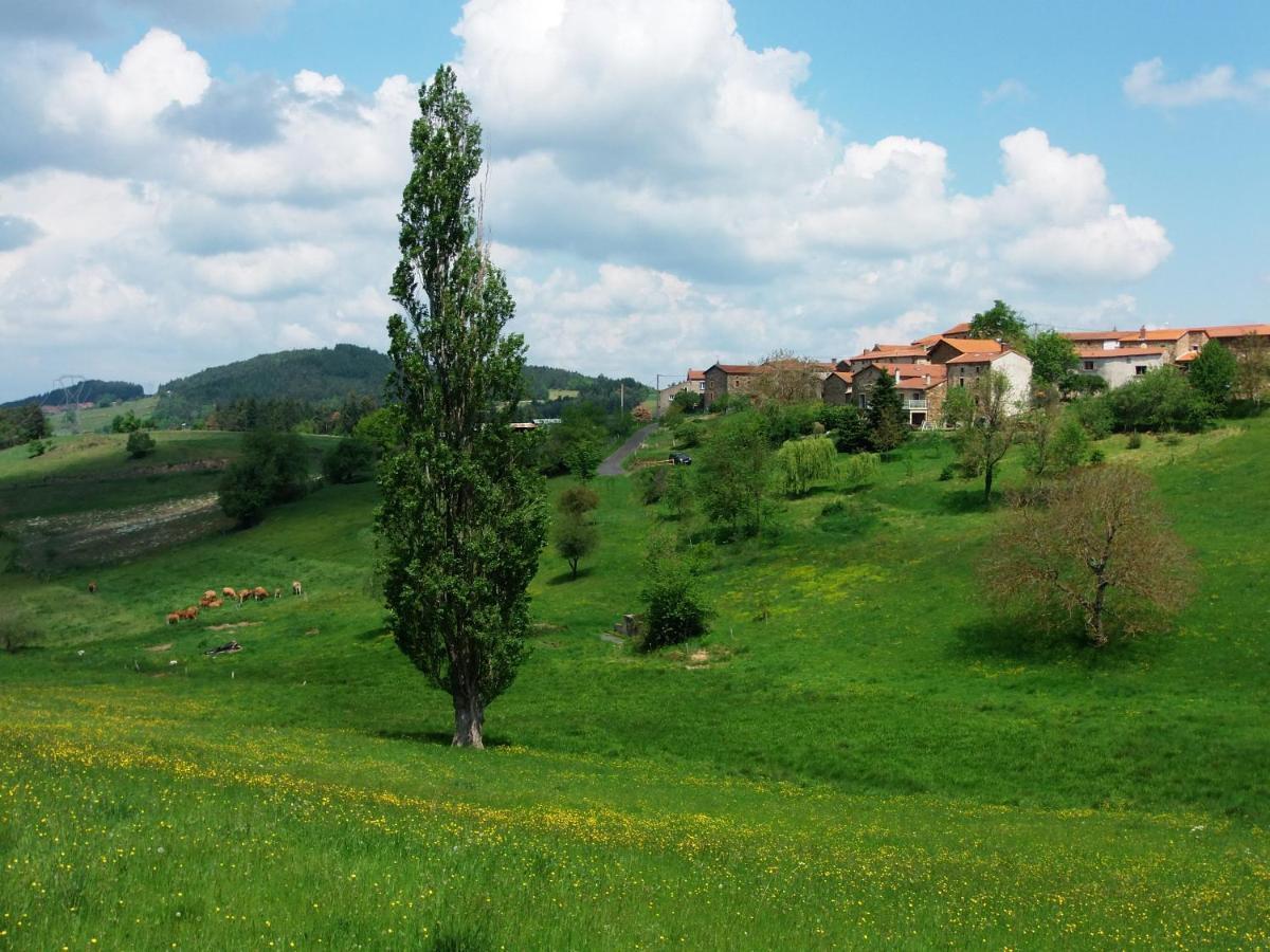Le Vallon D'Armandine, Gite Ecologique Auvergne Saint-Hilaire  Экстерьер фото